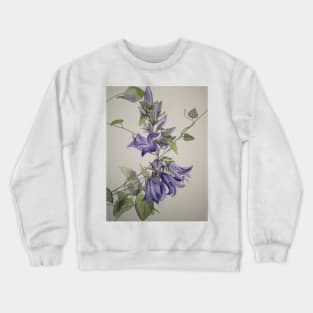 Purple blue harebells with Bindweed leaves. Crewneck Sweatshirt